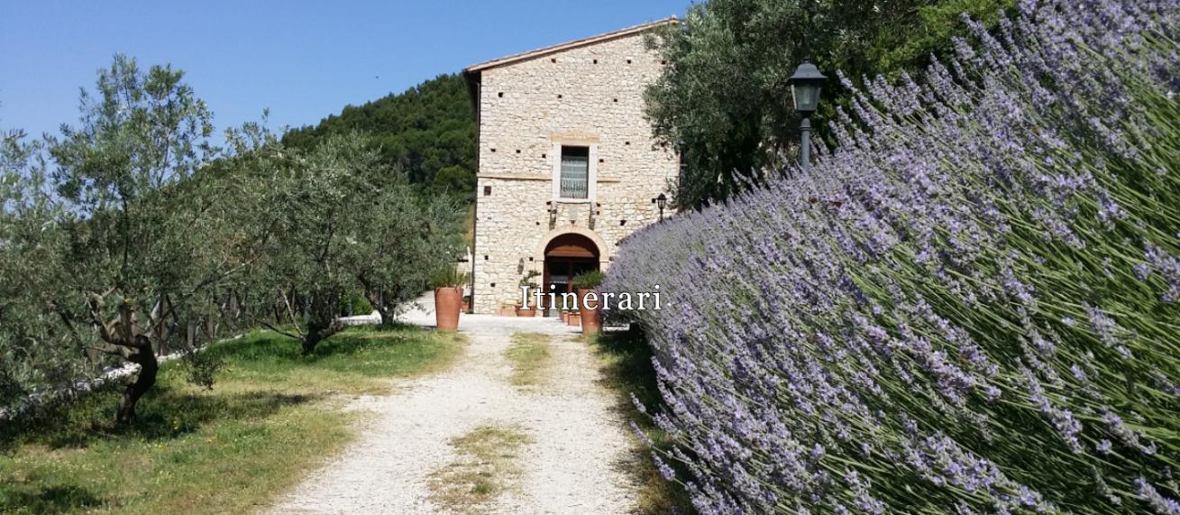 agriturismo spello umbria