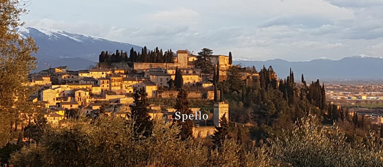 agriturismo spello il bastione