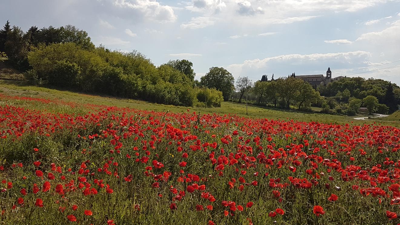 agriturismo spello umbria