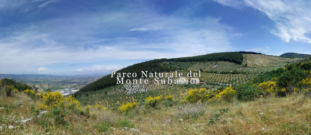 AGRITURISMO SPELLO BASTIONE