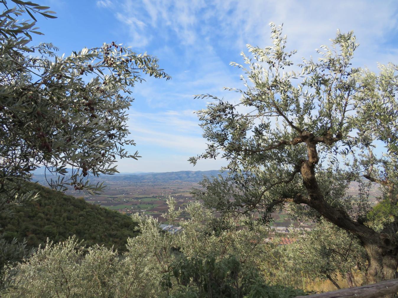 agriturismo monte subasio spello bastione